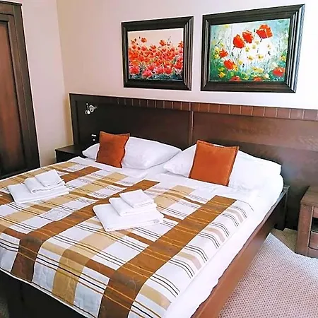 Hotel David With Free Parking Kosice